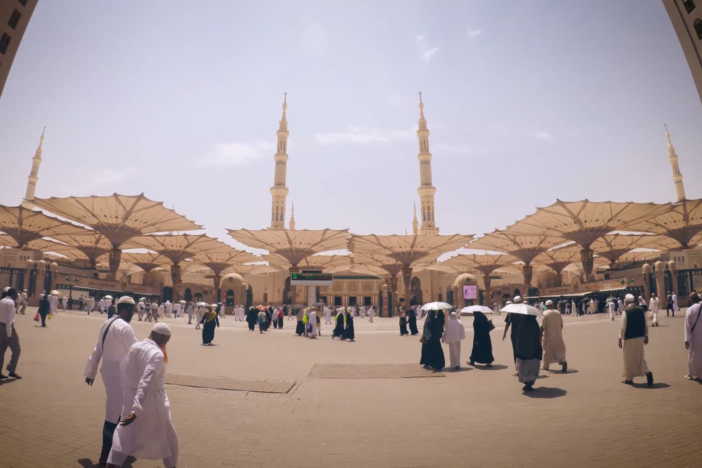 حجز الفنادق